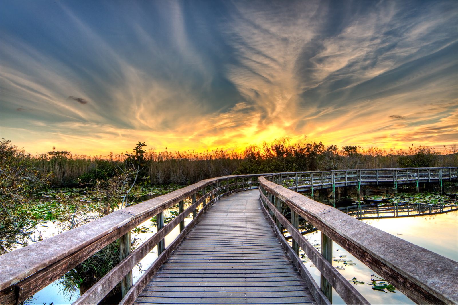 A wooden boardwalk leading over marsh and lily pads toward a dramatic golden sunset sky